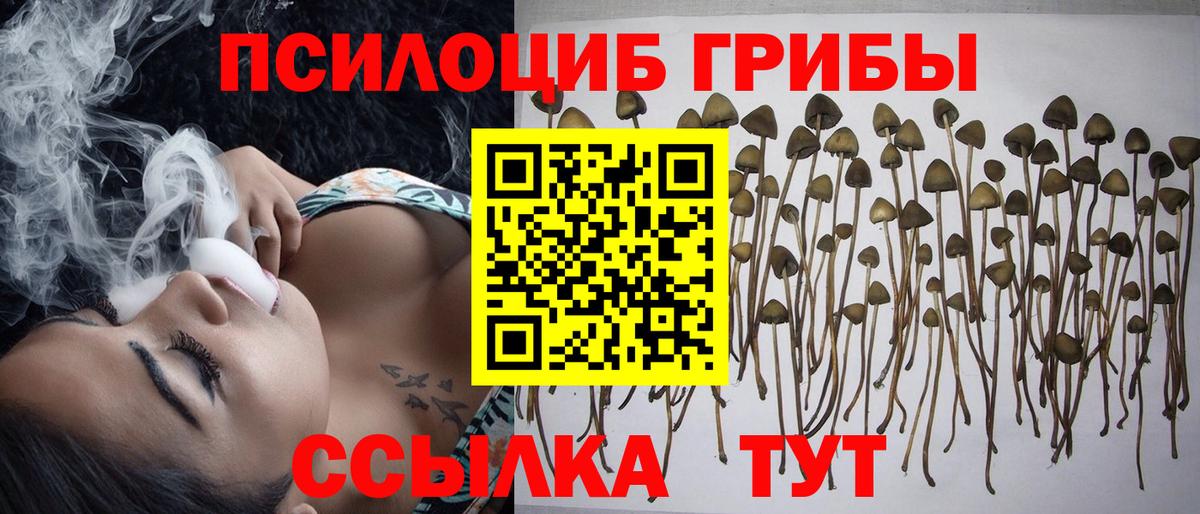 Когалым  Галлюциногенные грибы мицелий  Вход с VPN  Псилоцибиновые грибы ЛСД 